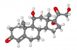 cortisol molecular model